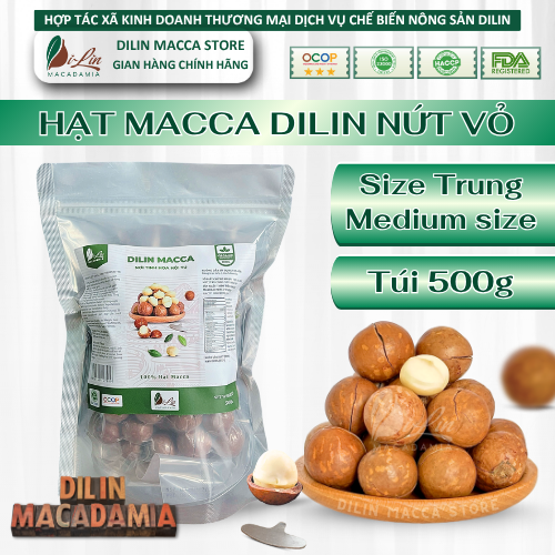 DiLin Hạt Macca Tây Nguyên Nứt Sẵn Size Trung (Túi 500g)