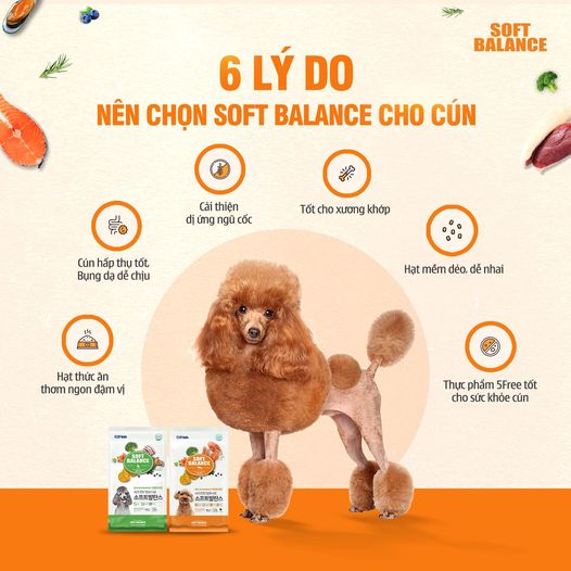 (Mua 1 TẶNG 2 HÀNG MẪU) Thức ăn hạt mềm cho chó mọi lứa tuổi các loại 100g/300g (ANF SOFT, SOFT BALANCE)
