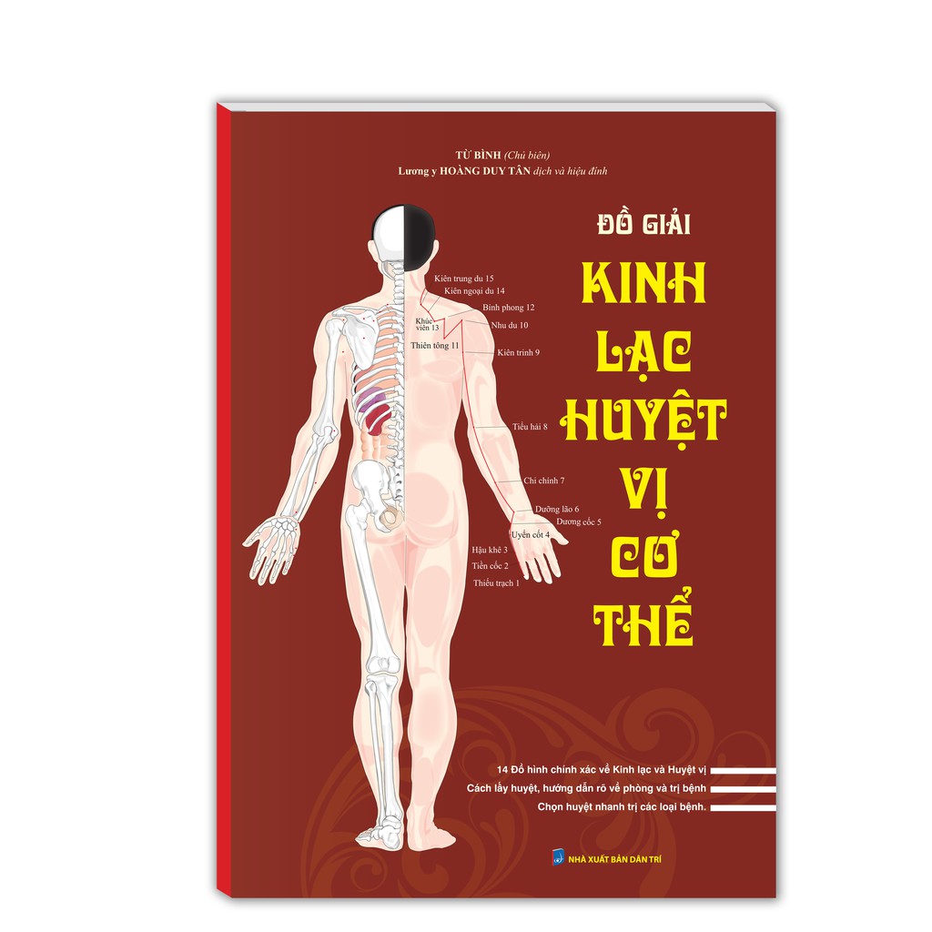 Sách - Đồ Giải Kinh Lạc Huyệt Vị Cơ Thể (sách in màu)