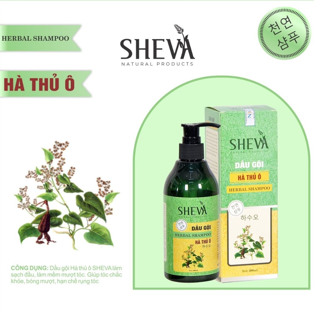 Dầu Gội Hà Thủ Ô Sheva Suôn Mượt, Sạch Gàu, Ngăn Gãy Rụng, Dưỡng Tóc Chắc Khỏe 300ml