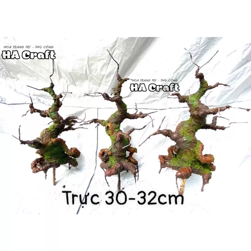 Gốc bonsai, thân cây bonsai 25-30cm dáng Trực,làm hoa mai đào trang trí nhà đón tết