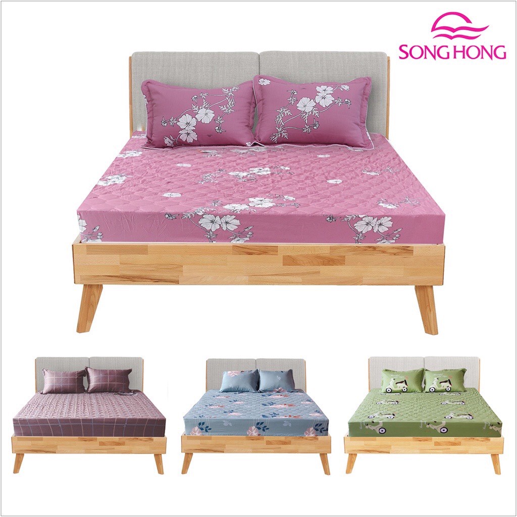 Bộ ga chun 150x190 có chần cotton Sông Hồng