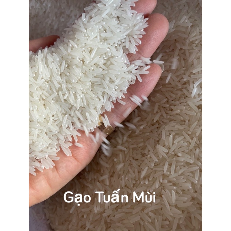 Gạo ST25 Tách Từ Bao 5Ky