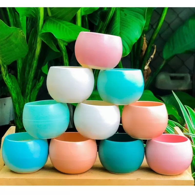 CHẬU SỨ, CHẬU CÂY CAO CẤP TRỒNG SEN ĐÁ, XƯƠNG RỒNG, CẮM HOA TRANG TRÍ