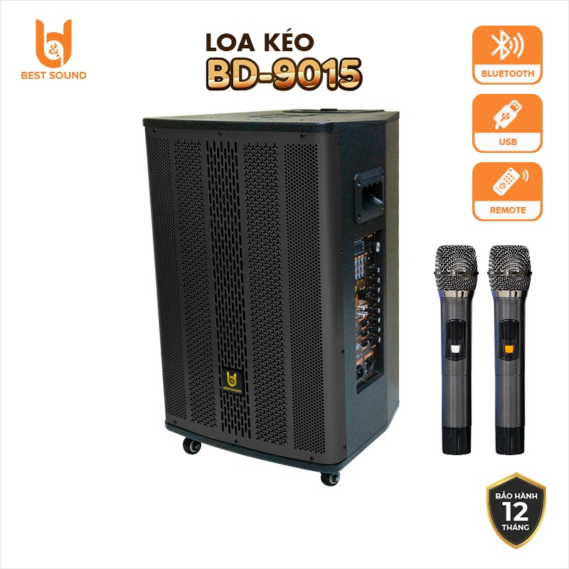 Loa Bluetooth Karaoke B Y SOUND BD-9015, Chất liệu gỗ cao cấp, Tặng micro không dây, hàng chính hãng, bảo hành 12 tháng