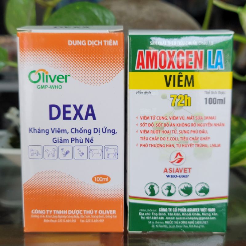 Combo xử lý viem tu cung, viem da tiết dịch, viem khop, viem móng  gồm 2 chai Amoxgen và Dexa dùng cho thú cưng