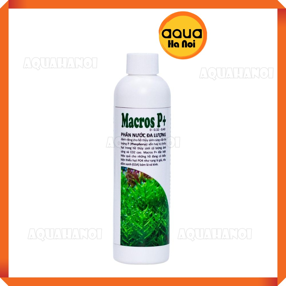 Phân Nước Macros P+ ThuysinhAz - Phân Nước Cung Cấp Photpho Cho Bể Thuỷ Sinh