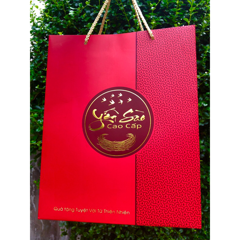 10 TÚI GIẤY ĐỰNG YẾN SÀO CAO CẤP 100GR SIZE ĐỨNG