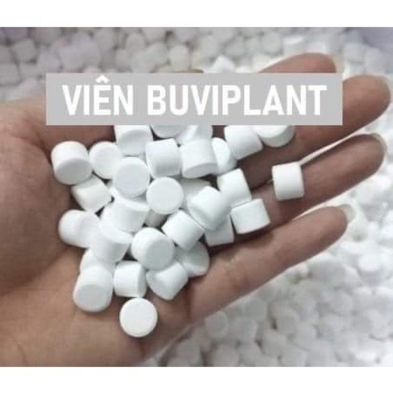 200 viên phân bón tan chậm vitamin buviplant dùng cho các loại hoa  cây ăn quả