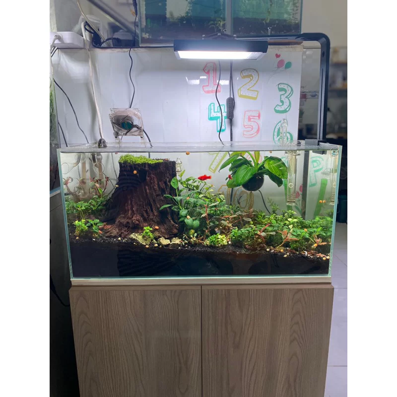 Đèn nano 45W ánh sáng siêu đẹp