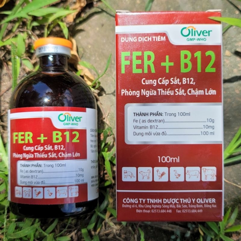Chai Fer+B12 loại 100ml bổ sung sắt và vitamin b12 dùng cho thú cưng