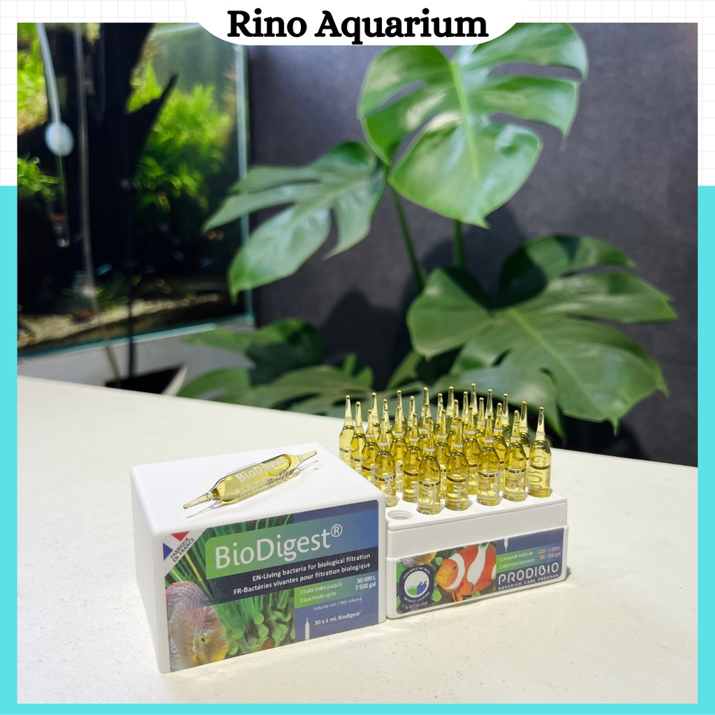 Vi Sinh Sống Prodibio BioDigest - Lẻ 1 Ống | Bổ Sung Vi Sinh Sống Cho Hồ Cá Thủy Sinh, Hồ Cá Biển