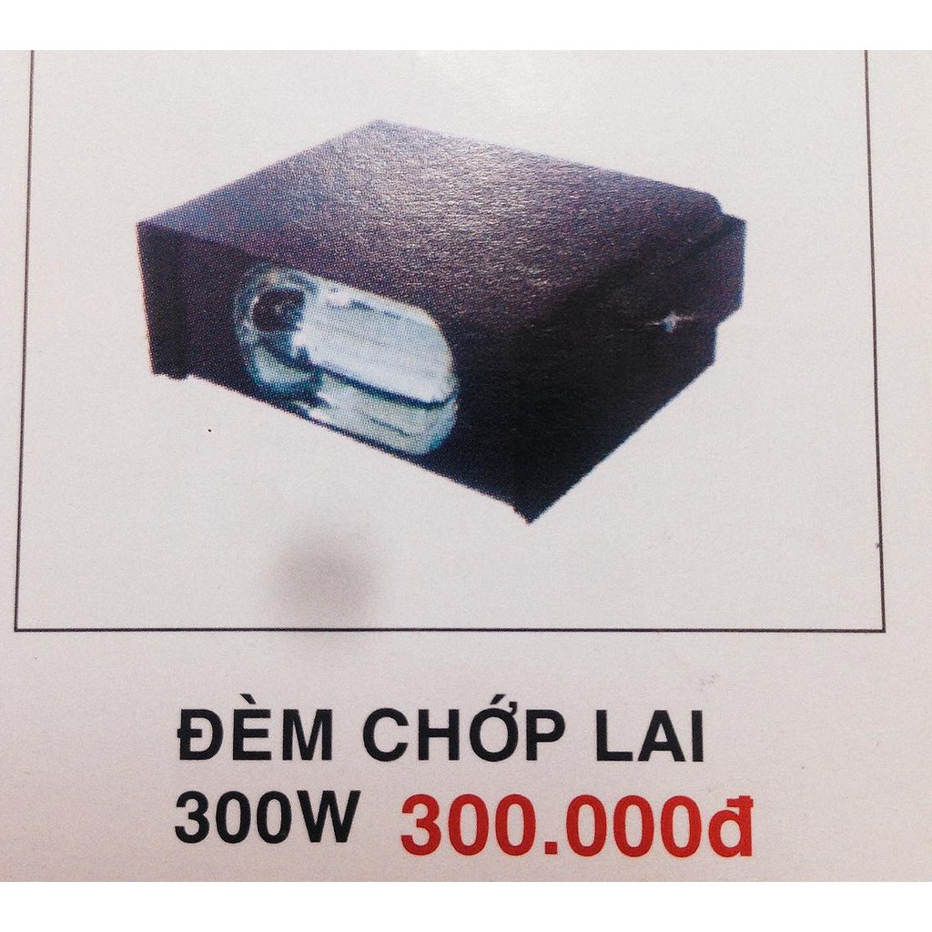 Đèn Chớp Lai Sân Khấu 300w