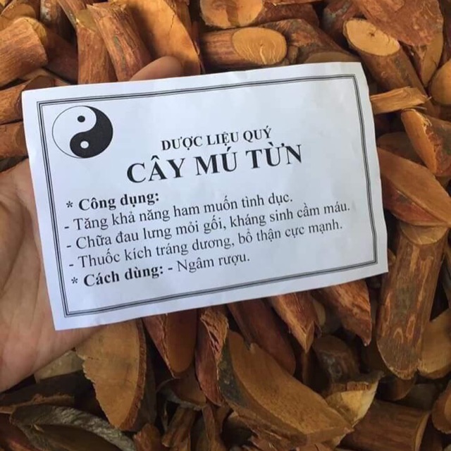 Combo 3 kg cây mú từn