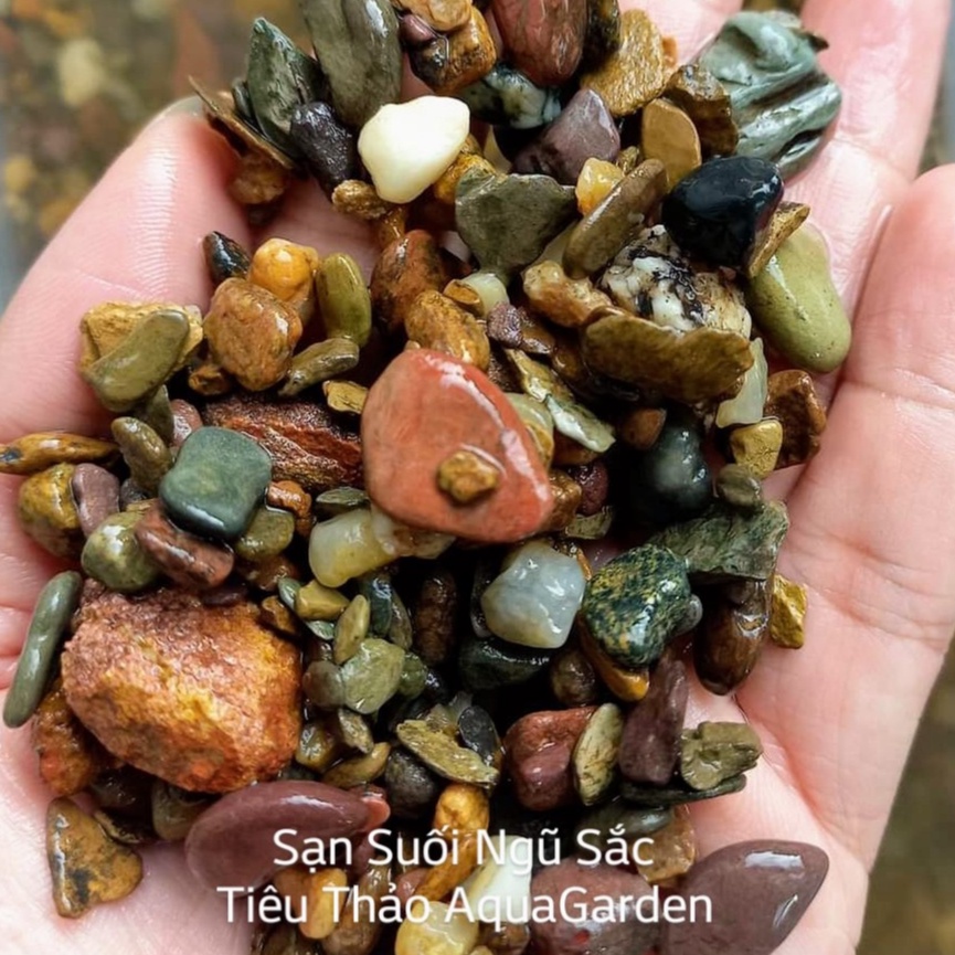 Sạn Suối Ngũ Sắc - Sạn Suối Đỏ - Sạn Suối Xám | Bao 200g - 500g - 1kg | Trang Trí Nền Hồ Biotop- Hồ Cá Cảnh..