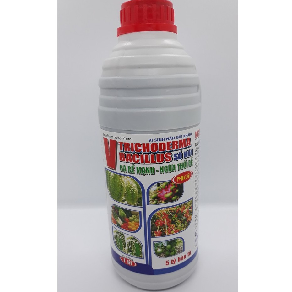 Vi sinh nấm đối kháng V- TRICHODERMA BACILLUS  ra rễ mạnh, ngừa thối rễ, phòng các loại nấm bệnh hại cây