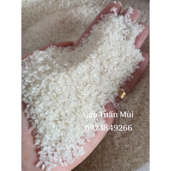 Gạo Tấm Thơm