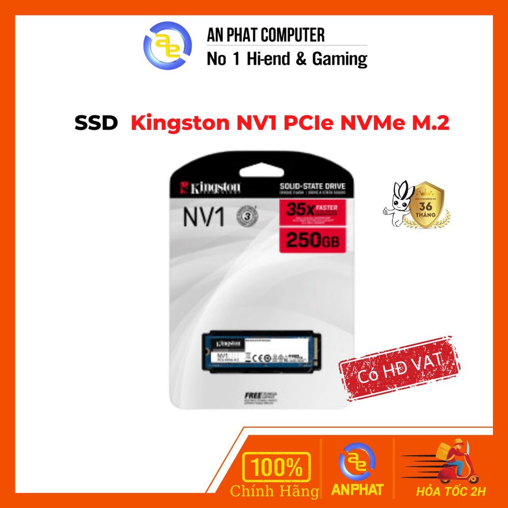 Ổ cứng SSD Kingston 250GB / 500GB / 1TB PCIe NVMe M.2 - Bảo Hành Chính Hãng 36 Tháng