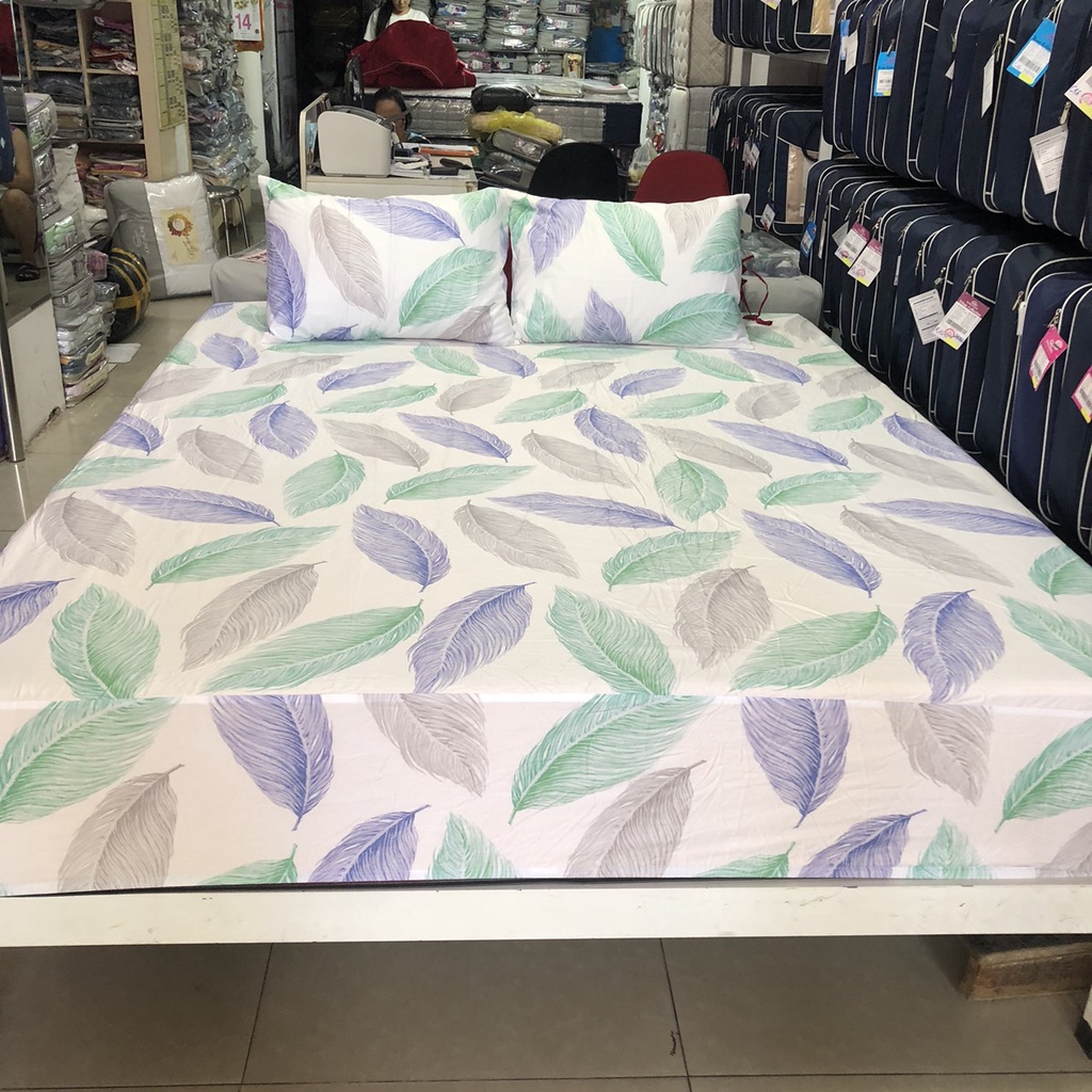 Bộ ga chun 150x190 Sông Hồng cotton không chần