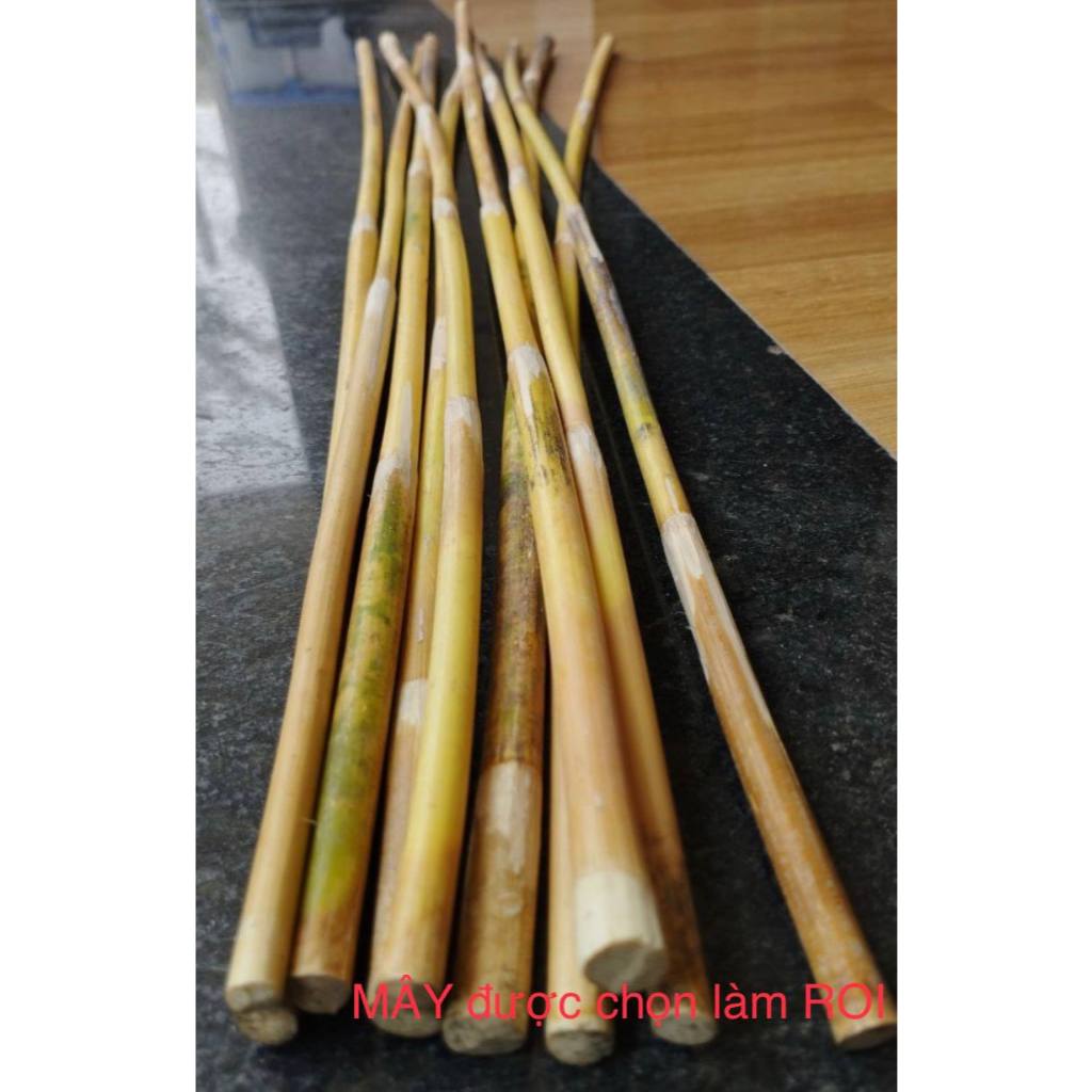 R.O.I MÂY Combo 2 cây giá 50k