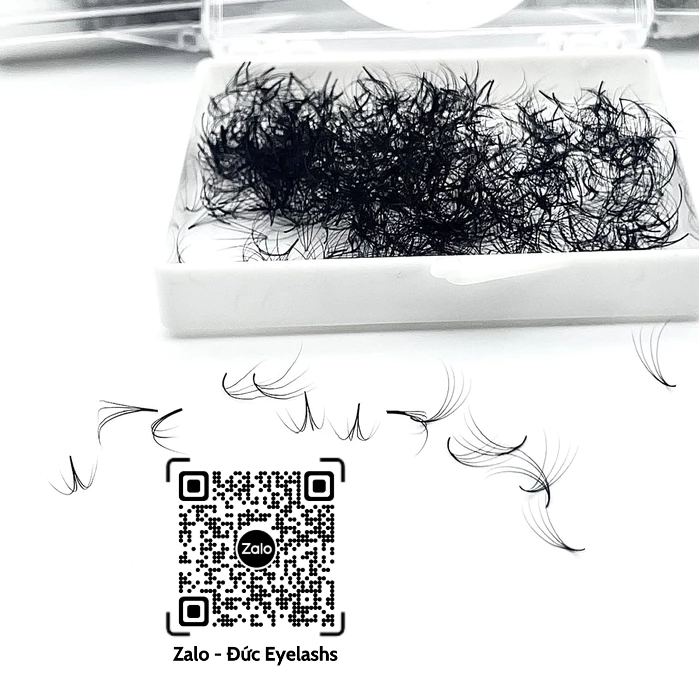 Mi fan sẵn 4D dày 0.07_8-16mm (500fan/1 hộp), nối mi volume -dụng cụ nối mi_Đức Eyelash