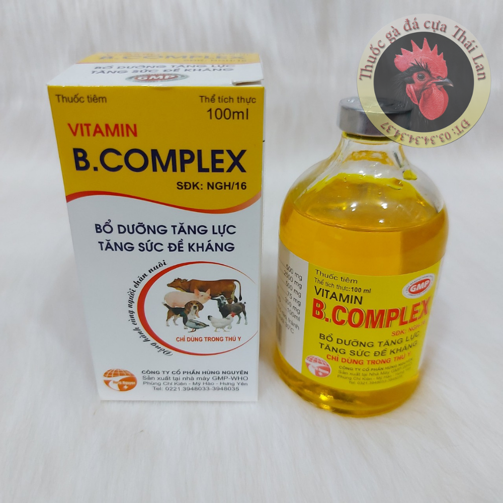 Vitamin B complex  - 1 lọ / 100ml