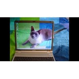 Dịch vụ sửa laptop tại nhà Quận 8 giá rẻ 